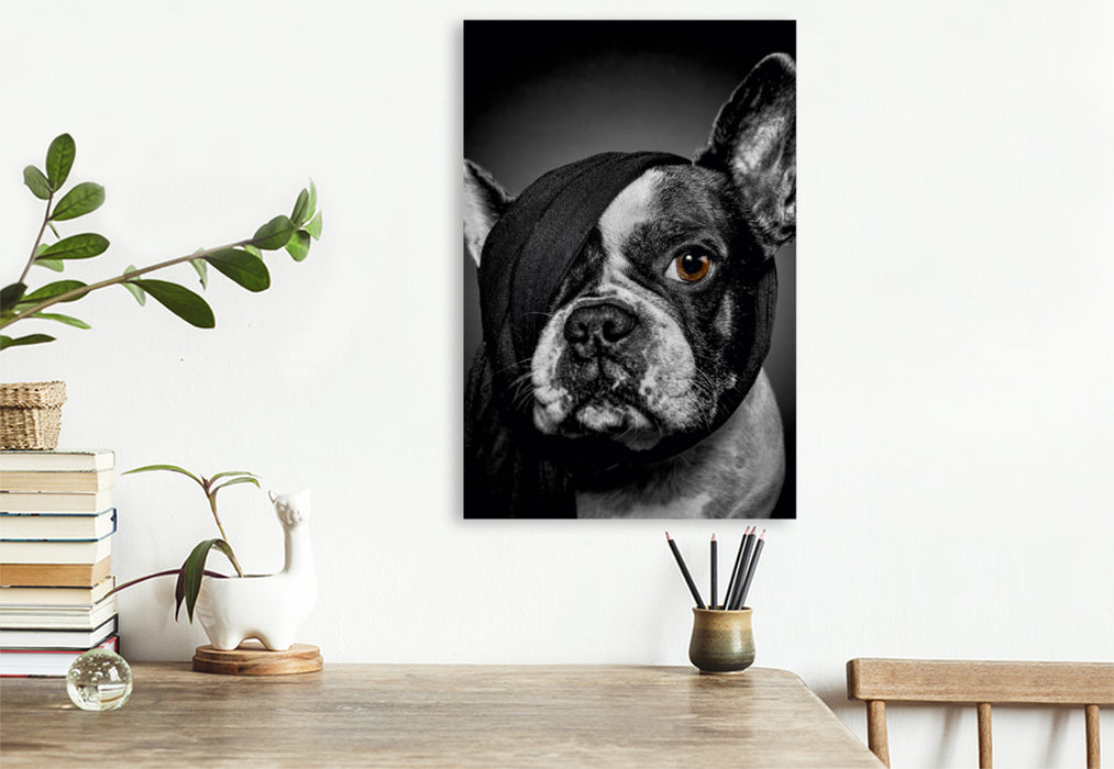 Premium Textil-Leinwand Premium Textil-Leinwand 80 cm x 120 cm  hoch Französische Bulldogge - Rosi