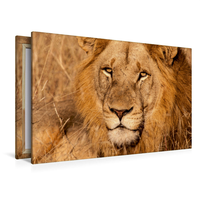 Premium Textil-Leinwand Im besten Mannesalter.