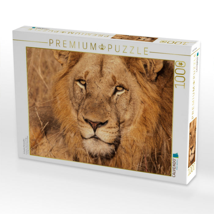Im besten Mannesalter. - CALVENDO Foto-Puzzle'