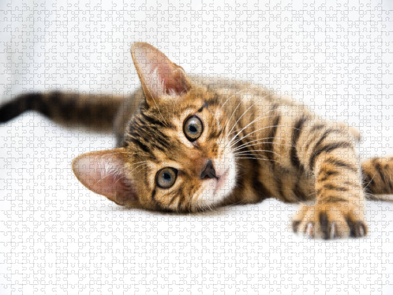 Bengal Mädchen Bethari Aanu - CALVENDO Foto-Puzzle'