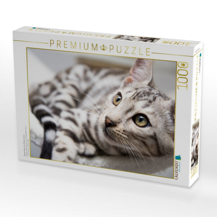 Bengal Katerchen Bethari Zenon - CALVENDO Foto-Puzzle'