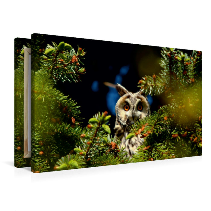 Toile textile premium Toile textile premium 120 cm x 80 cm paysage hibou des marais 