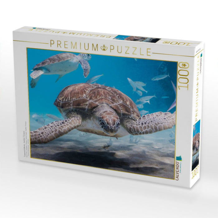Suppenschildkröte - Karibik / Curaçao - CALVENDO Foto-Puzzle'