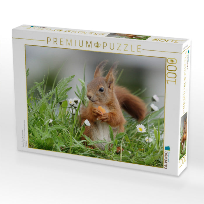 Lucien in der Blumenwiese - CALVENDO Foto-Puzzle'