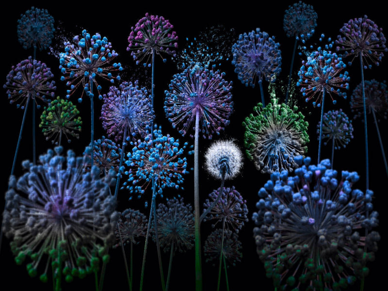 Allium fantasia - CALVENDO Foto-Puzzle'
