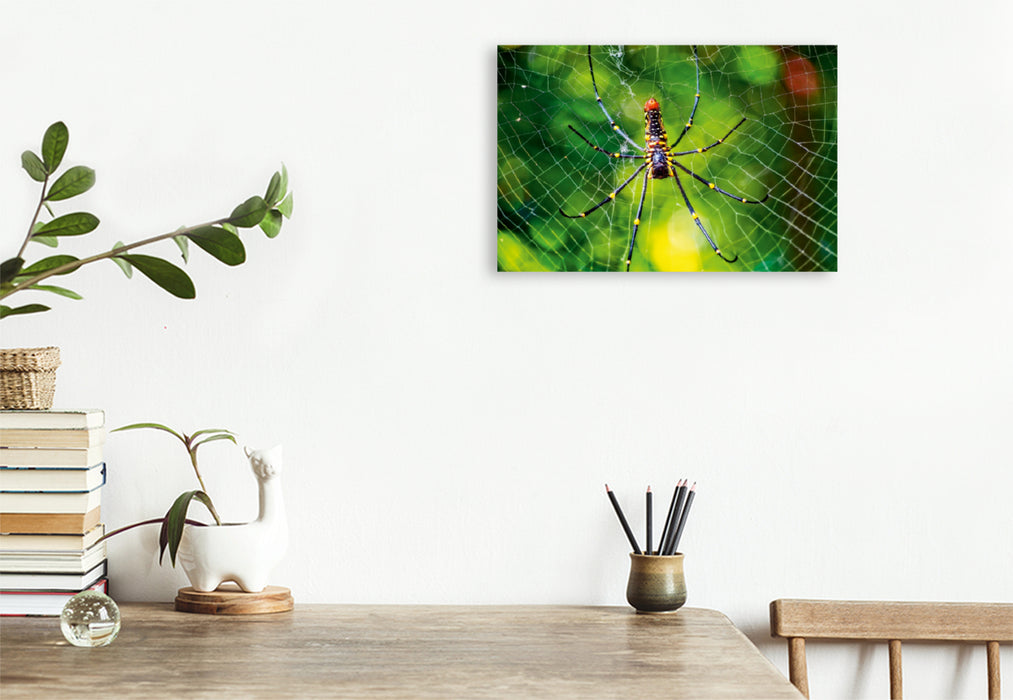 Toile textile premium Toile textile premium 120 cm x 80 cm toiles d'araignées paysage - merveilles de la nature 