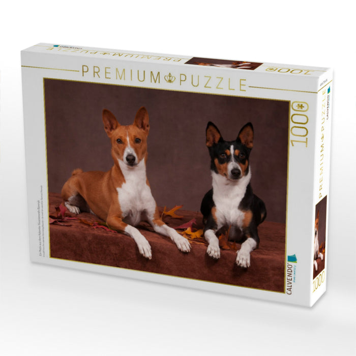 Ein Motiv aus dem Kalender Faszinierende Basenjis - CALVENDO Foto-Puzzle'