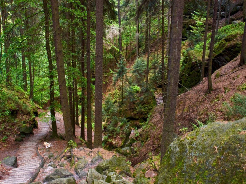 Schwedenlöcher im Elbsandsteingebirge - CALVENDO Foto-Puzzle'