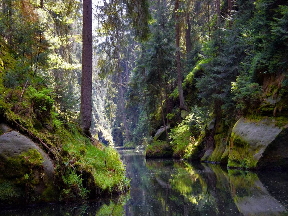 Kirnitzschtal im Elbsandsteingebirge - CALVENDO Foto-Puzzle'
