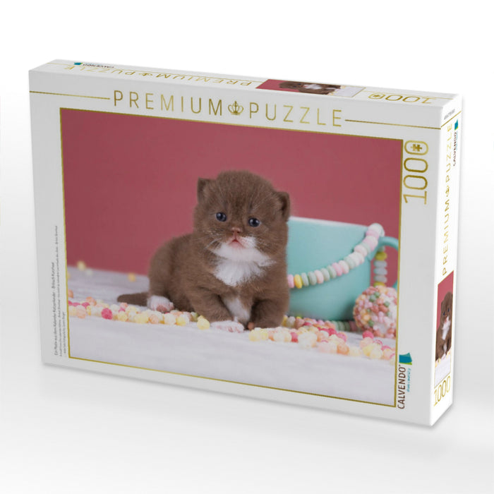 Ein Motiv aus dem Kalender Katzenkinder - Britisch Kurzhaar - CALVENDO Foto-Puzzle'