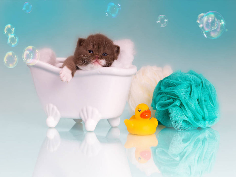 Relax - Kitten in der Badewanne - CALVENDO Foto-Puzzle'
