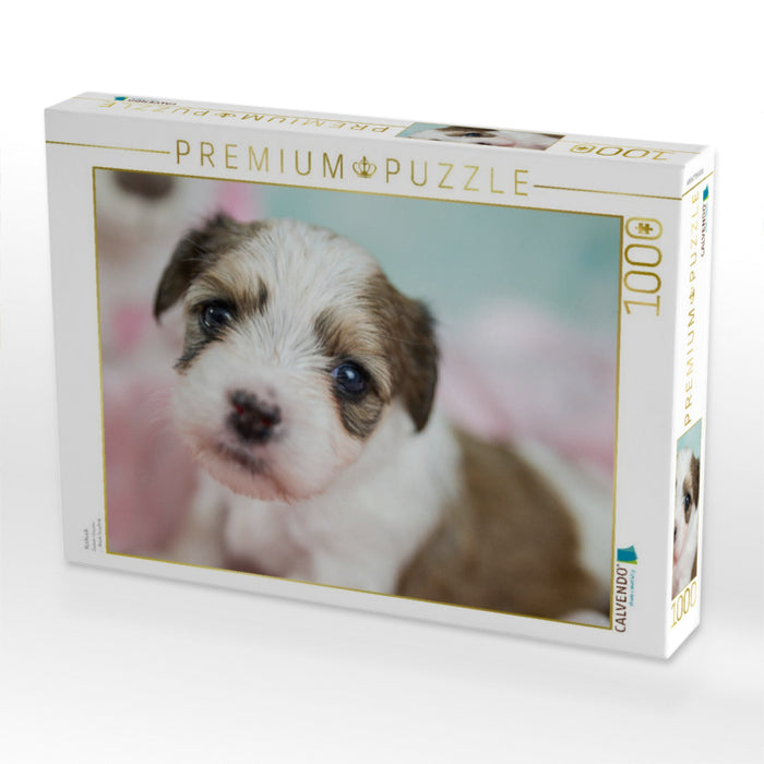Kuckuck - CALVENDO Foto-Puzzle'