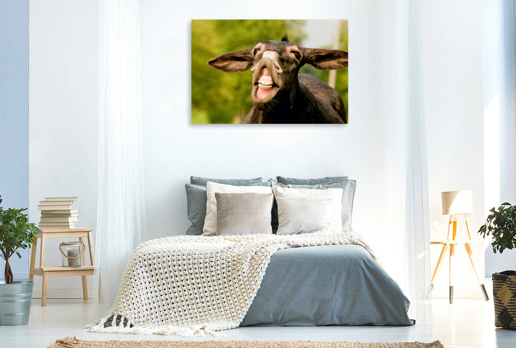 Toile textile haut de gamme Toile textile haut de gamme 120 cm x 80 cm paysage Flehmender Donkey 