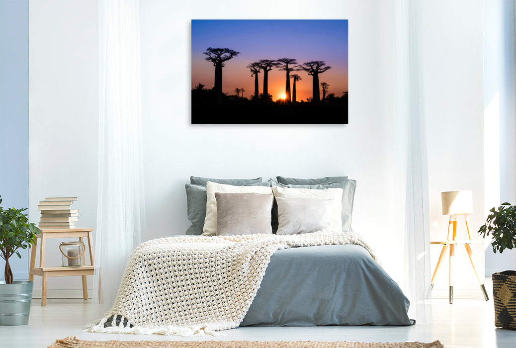Premium textile canvas Premium textile canvas 120 cm x 80 cm landscape Baobab - Avenue 