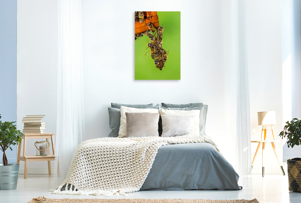 Premium Textil-Leinwand Premium Textil-Leinwand 80 cm x 120 cm  hoch Ein Motiv aus dem Kalender Geschäftig wie im Bienenstock