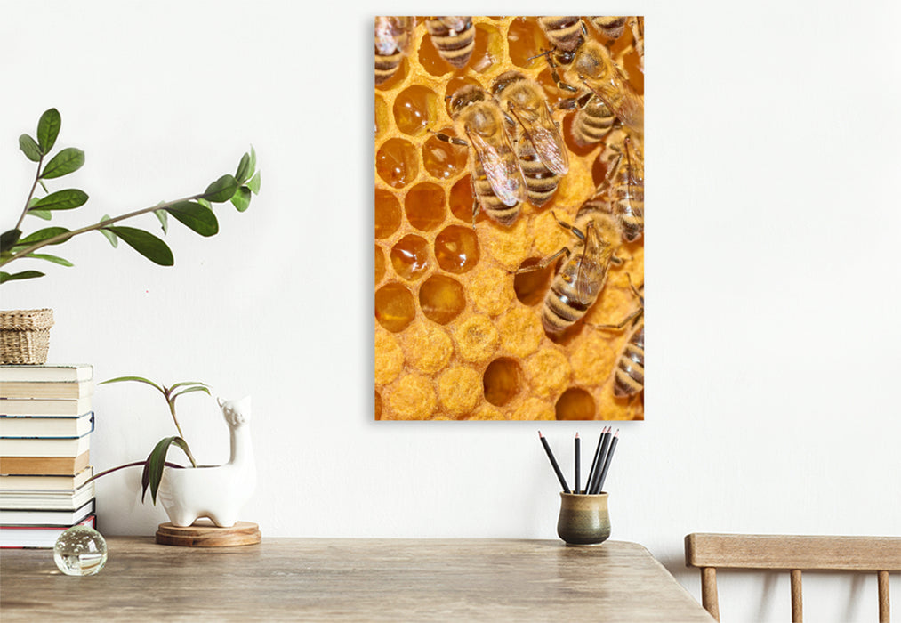 Premium Textil-Leinwand Premium Textil-Leinwand 50 cm x 75 cm hoch Ein Motiv aus dem Kalender Geschäftig wie im Bienenstock