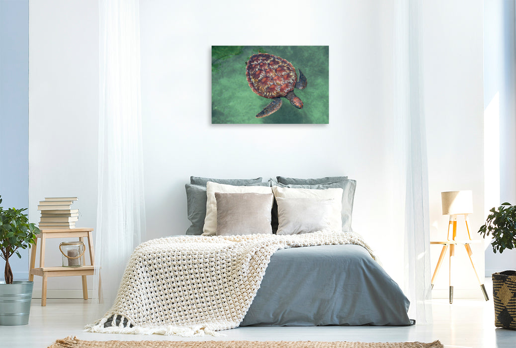 Premium textile canvas Premium textile canvas 120 cm x 80 cm landscape Large turtle 