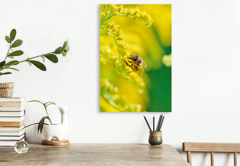Toile textile premium Toile textile premium 50 cm x 75 cm de hauteur Un motif du calendrier L'abeille et la couleur jaune 