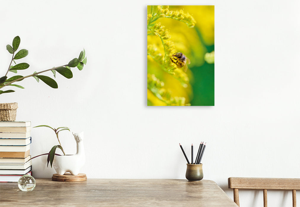 Toile textile premium Toile textile premium 50 cm x 75 cm de hauteur Un motif du calendrier L'abeille et la couleur jaune 