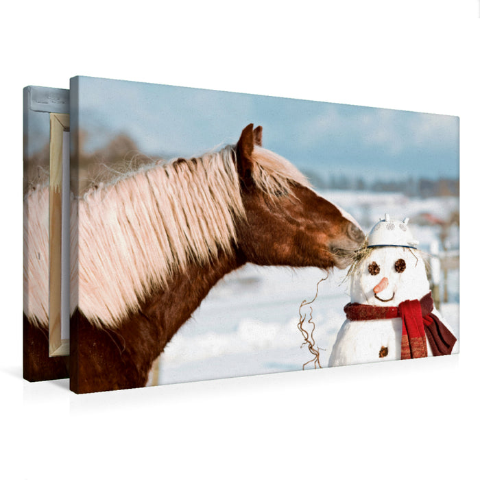Premium Textil-Leinwand Schwarzwälder Kaltblut Daim und der Schneemann