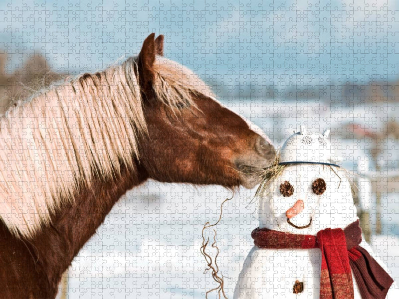 Schwarzwälder Kaltblut Daim und der Schneemann - CALVENDO Foto-Puzzle'