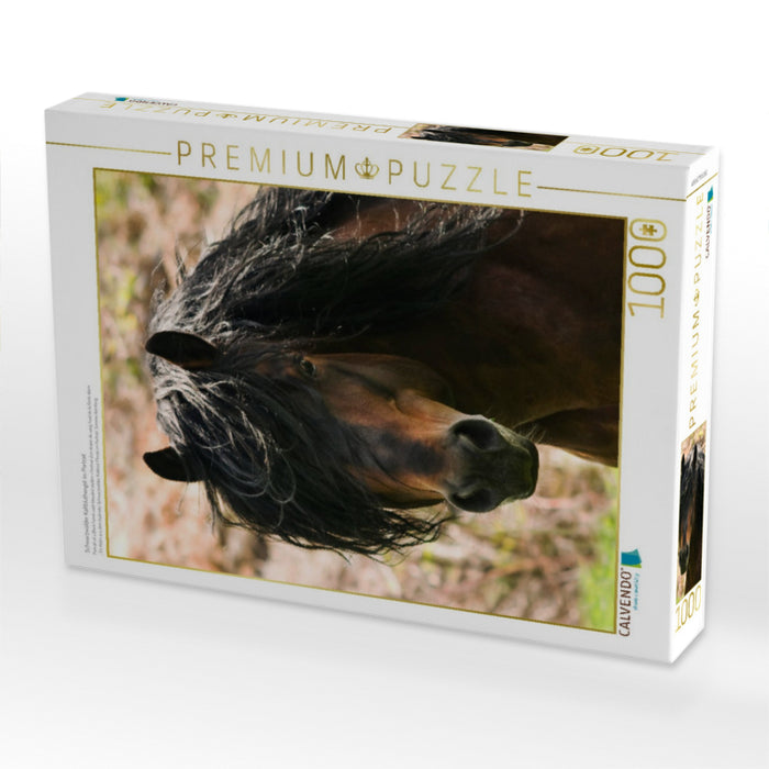 Schwarzwälder Kaltbluthengst im Portrait - CALVENDO Foto-Puzzle'