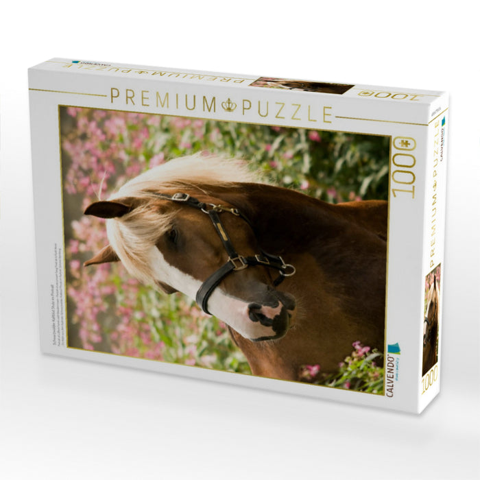 Schwarzwälder Kaltblut Stute im Portrait - CALVENDO Foto-Puzzle'