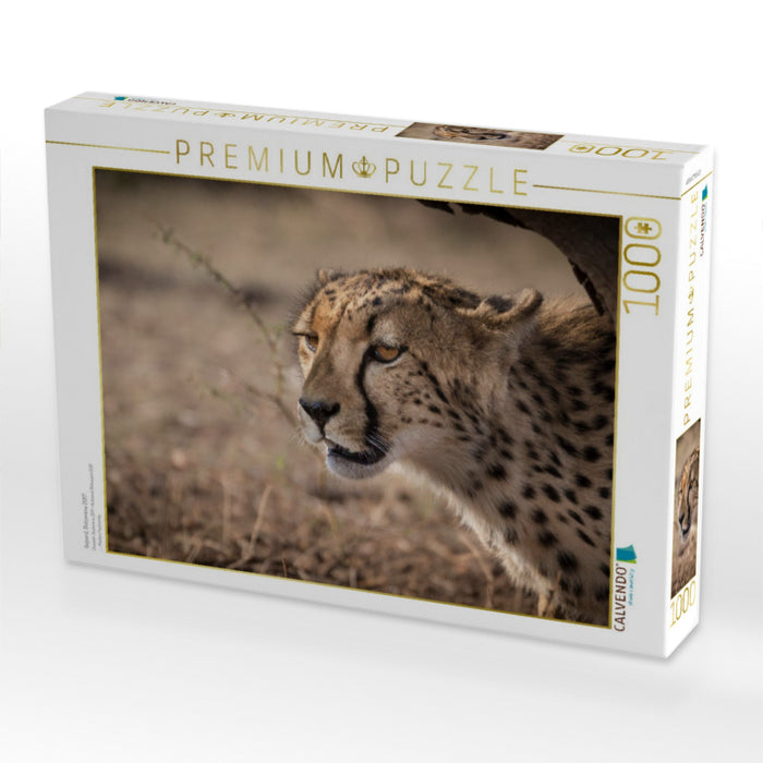 Gepard, Botswana 2017 - CALVENDO Foto-Puzzle'