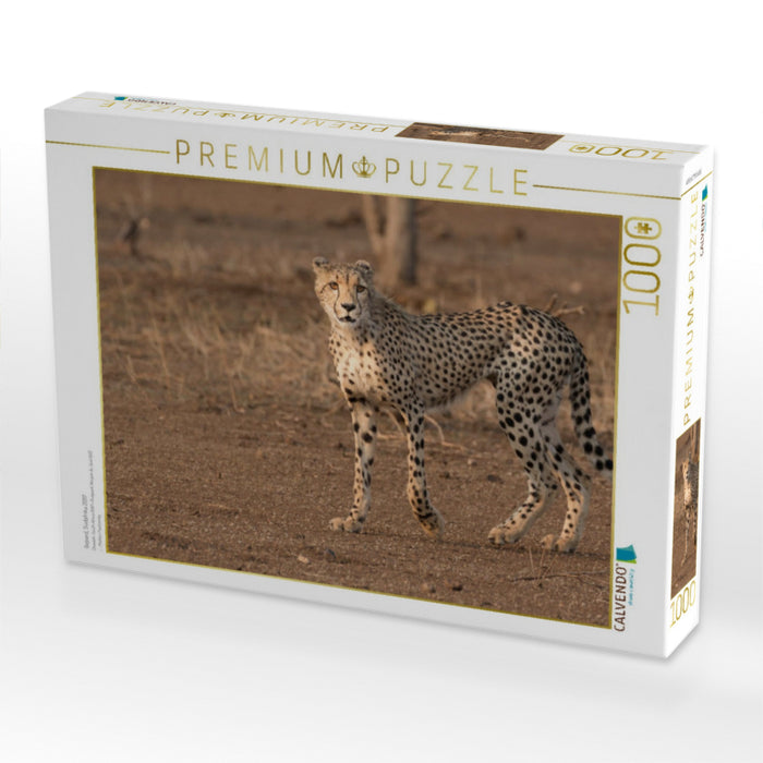 Gepard, Südafrika 2017 - CALVENDO Foto-Puzzle'