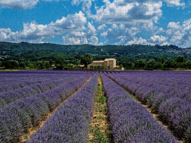 Provence - Blühende Lavendelfelder - CALVENDO Foto-Puzzle'