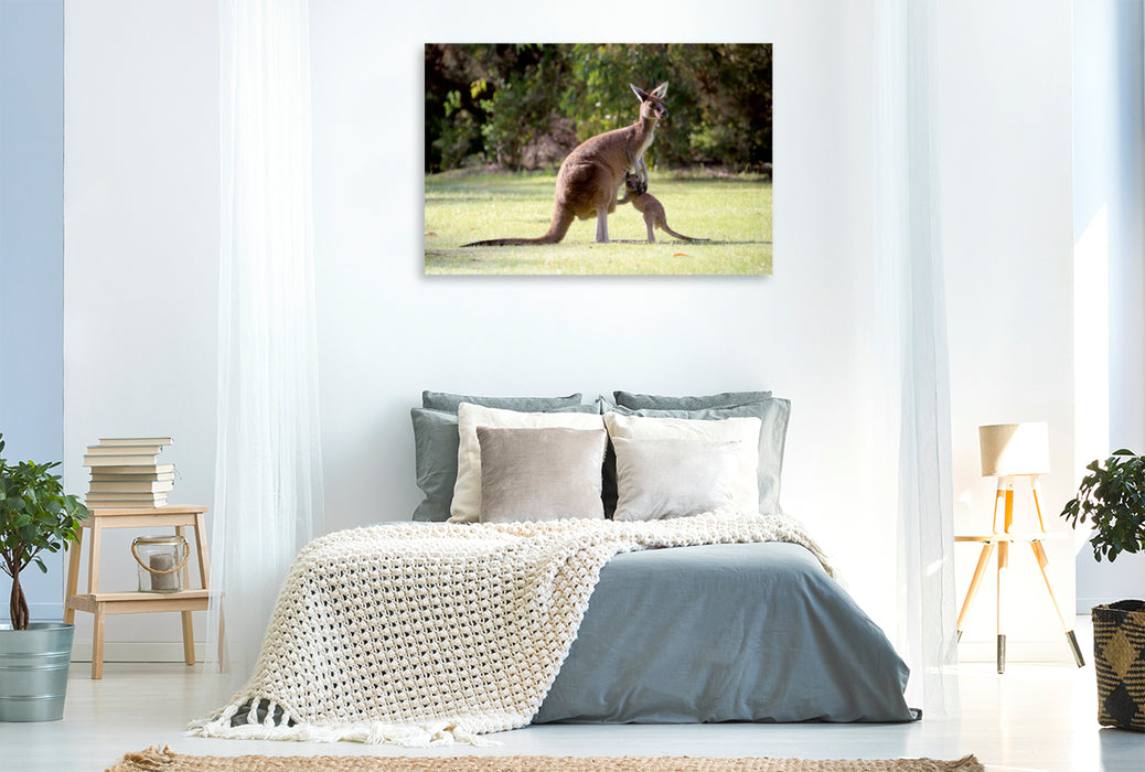 Toile textile haut de gamme Toile textile haut de gamme 120 cm x 80 cm paysage kangourous, parc commémoratif de Pinnaroo Valley 
