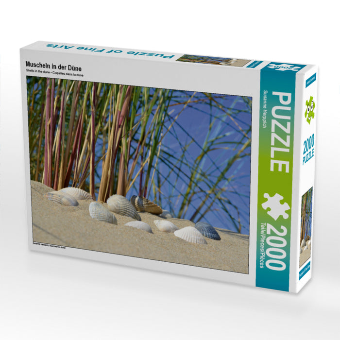 Muscheln in der Düne 2000 Teile Puzzle quer - CALVENDO Foto-Puzzle'