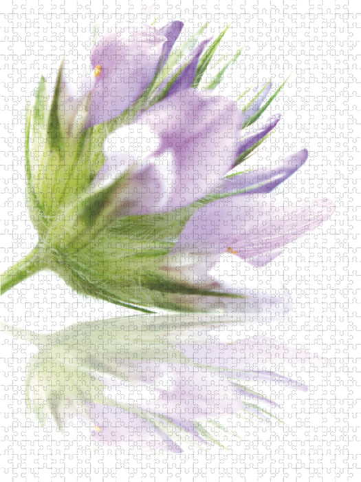Créativité - Puzzle photo CALVENDO 