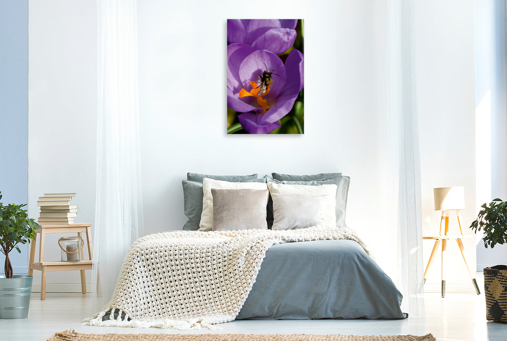 Toile textile premium Toile textile premium 80 cm x 120 cm de haut fleur de crocus violet 