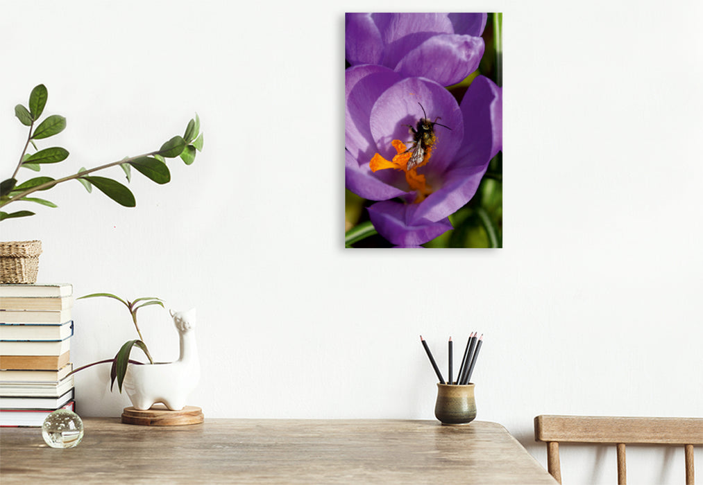 Toile textile premium Toile textile premium 80 cm x 120 cm de haut fleur de crocus violet 