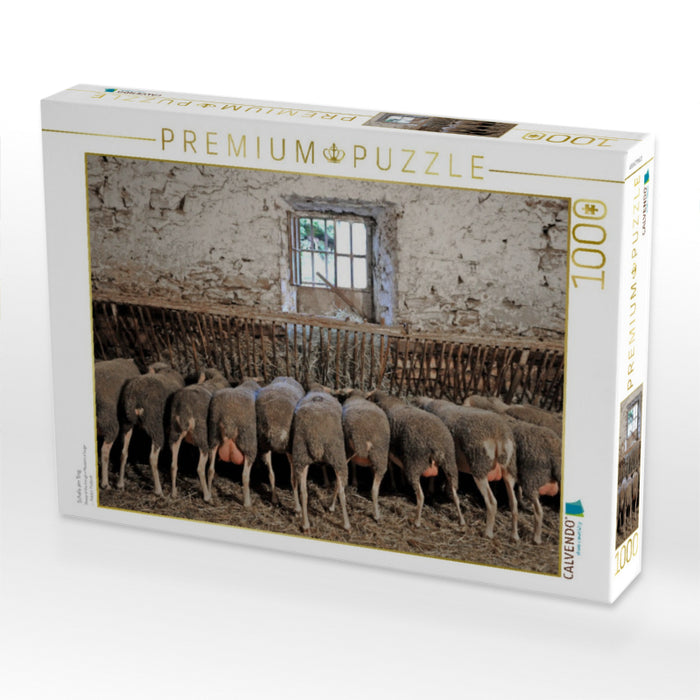Schafe am Trog - CALVENDO Foto-Puzzle'