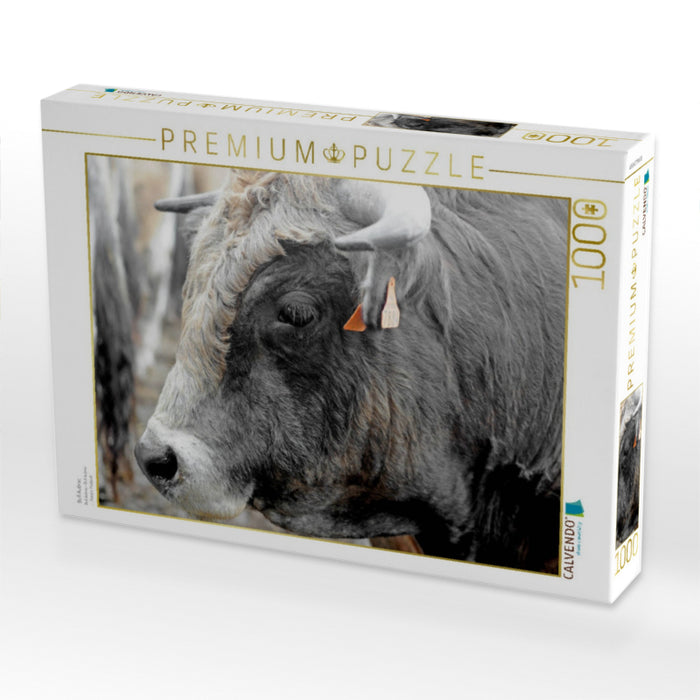Bull Aubrac - CALVENDO Foto-Puzzle'