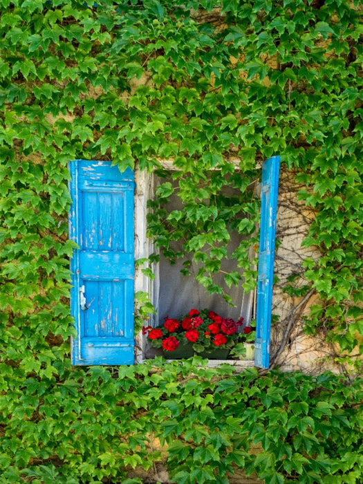 Fenster in Bonnieux - CALVENDO Foto-Puzzle'
