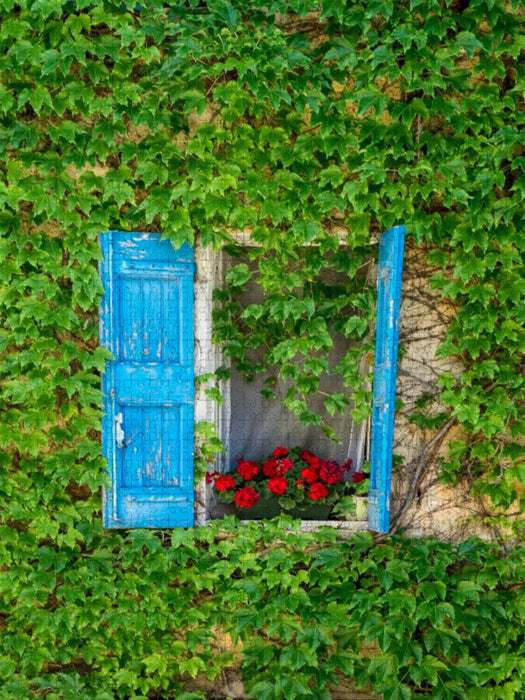 Fenster in Bonnieux - CALVENDO Foto-Puzzle'