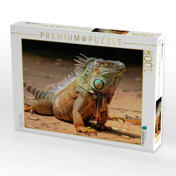 Wunderschöner Leguan - CALVENDO Foto-Puzzle'