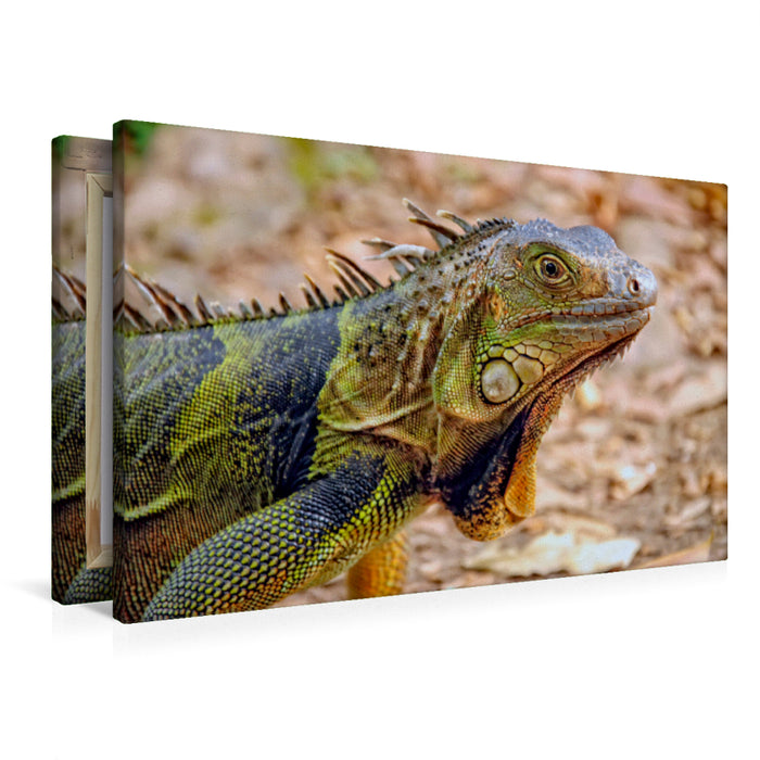 Toile textile premium Toile textile premium 90 cm x 60 cm paysage Bel iguane 