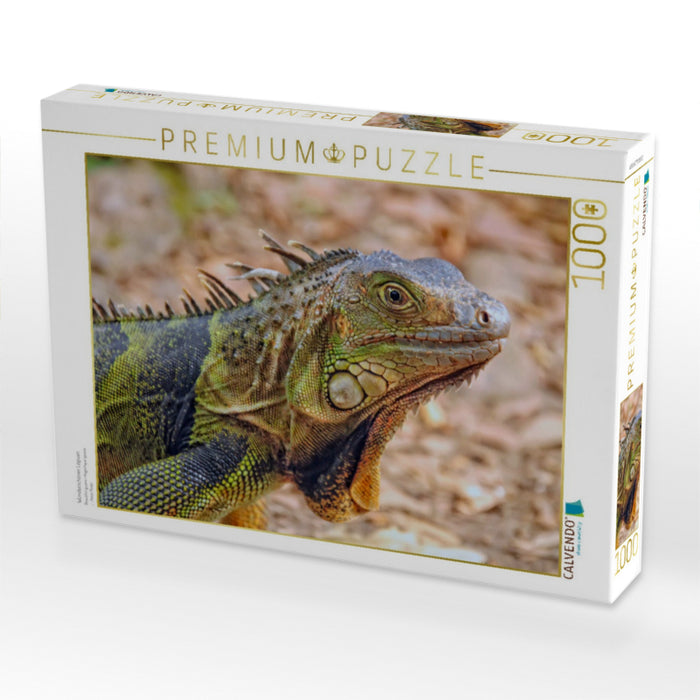Wunderschöner Leguan - CALVENDO Foto-Puzzle'