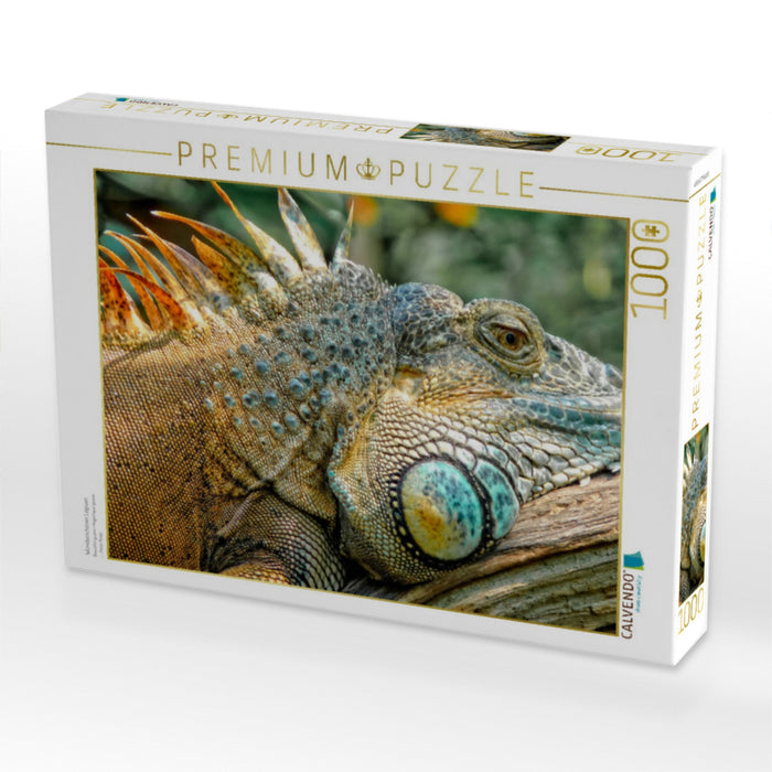 Wunderschöner Leguan - CALVENDO Foto-Puzzle'