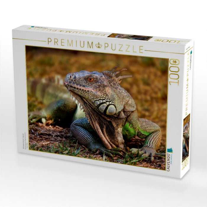 Wunderschöner Leguan - CALVENDO Foto-Puzzle'