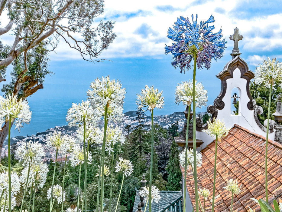 Madeira - Inselzauber im Atlantik - CALVENDO Foto-Puzzle'