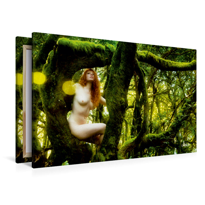 Premium Textil-Leinwand Premium Textil-Leinwand 120 cm x 80 cm quer Modell: Fiodora