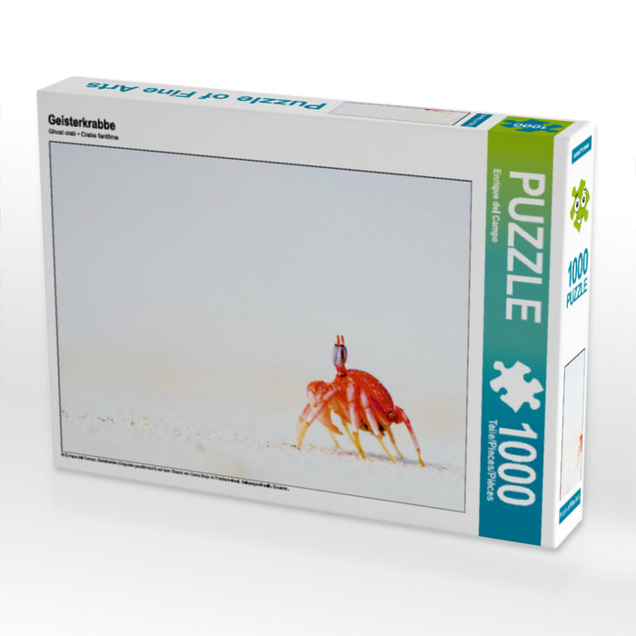 Geisterkrabbe 1000 Teile Puzzle quer - CALVENDO Foto-Puzzle'