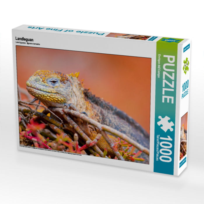 Landleguan 1000 Teile Puzzle quer - CALVENDO Foto-Puzzle'