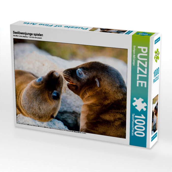 Playing sea lion cubs - CALVENDO photo puzzle 