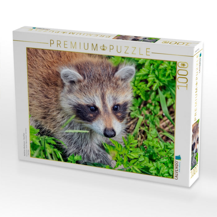 Niedlicher Allesfresser - Waschbär - CALVENDO Foto-Puzzle'